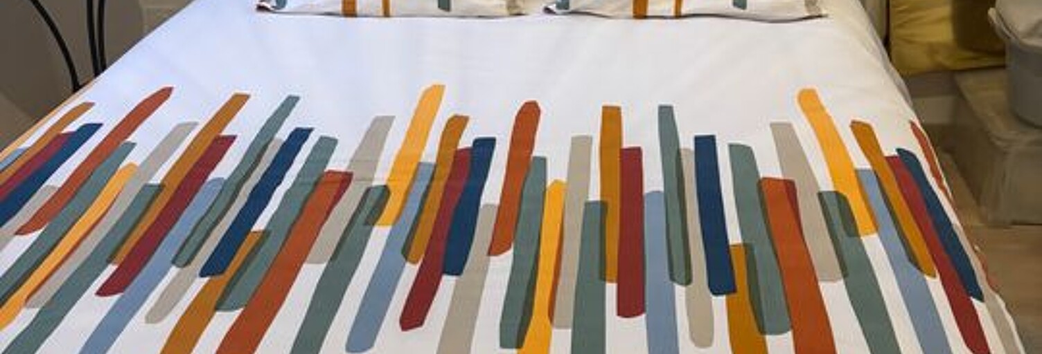 Appartement 1 Pièce 10 m² à louer à Bron (69500)