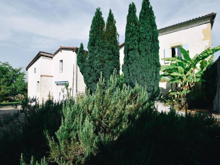 Maison proche de Saint Sever avec beaucoup de cachet — photo 1