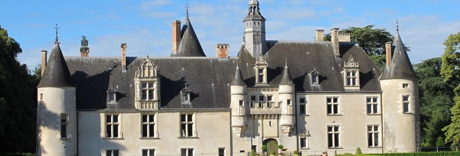 Maison 43 Pièces 1400 m² à vendre à Saint-Florent-sur-Cher (18400)