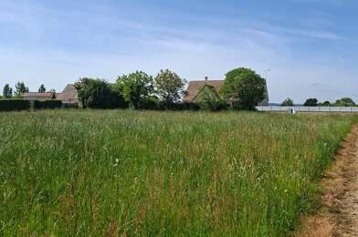 Terrain  40000 €