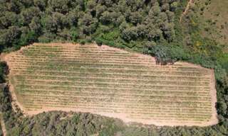 Maison  15338 m² à vendre à Creissan (34370)