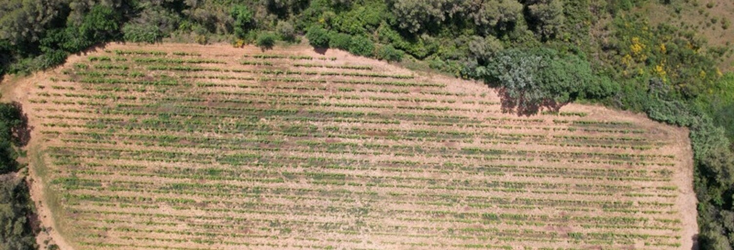 Maison  15338 m² à vendre à Creissan (34370)