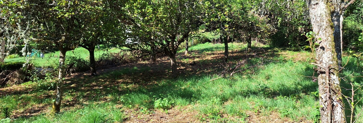 Terrain  1164 m² à vendre à Crandelles (15250)