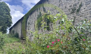 Photo N° 3