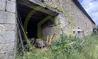 Photo N° 4