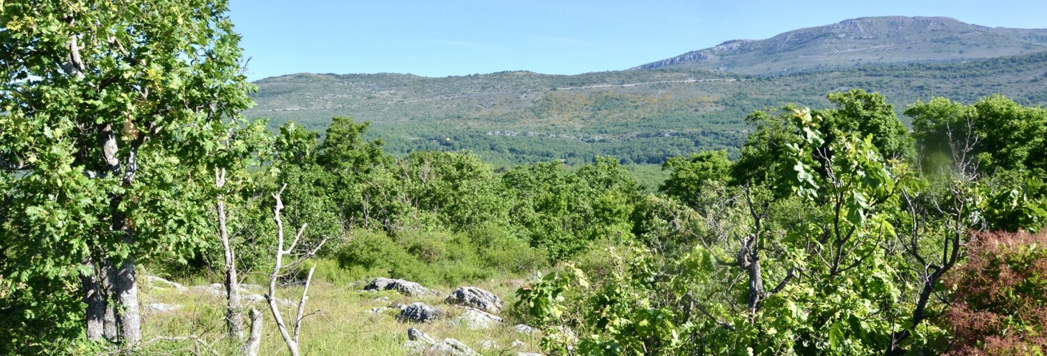 Terrain  10944 m² à vendre à Saint-Vallier-de-Thiey (06460)