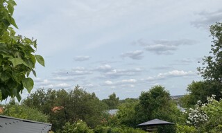 Photo N° 6
