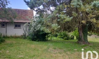 Photo N° 4