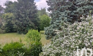 Photo N° 5