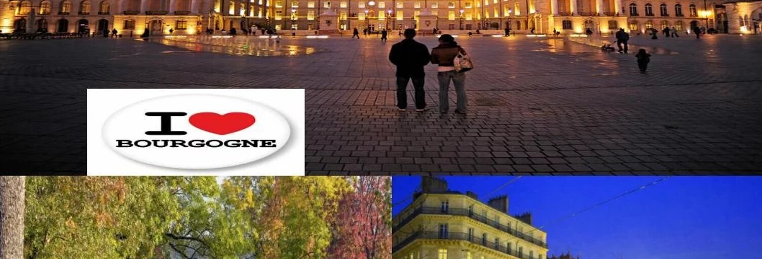 Maison 67 m² en viager Dijon (21000)