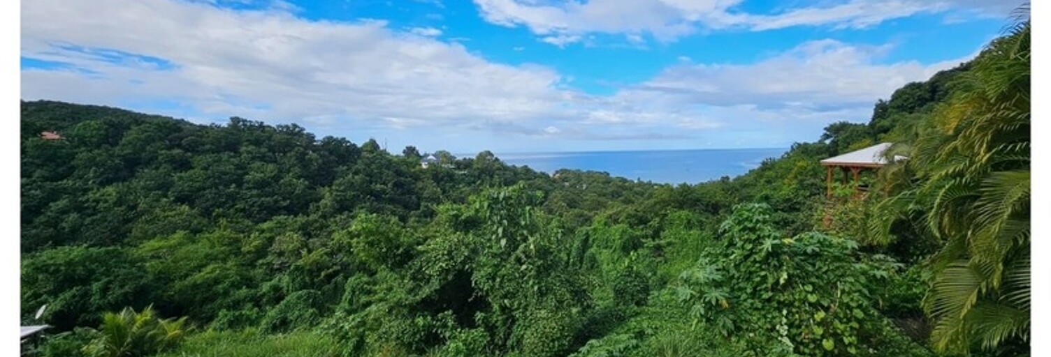 Terrain  7664 m² à vendre à Bouillante (97125)