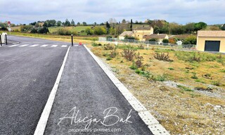 Photo N° 5