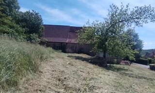 Photo N° 4