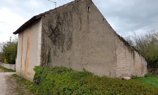 Photo N° 3