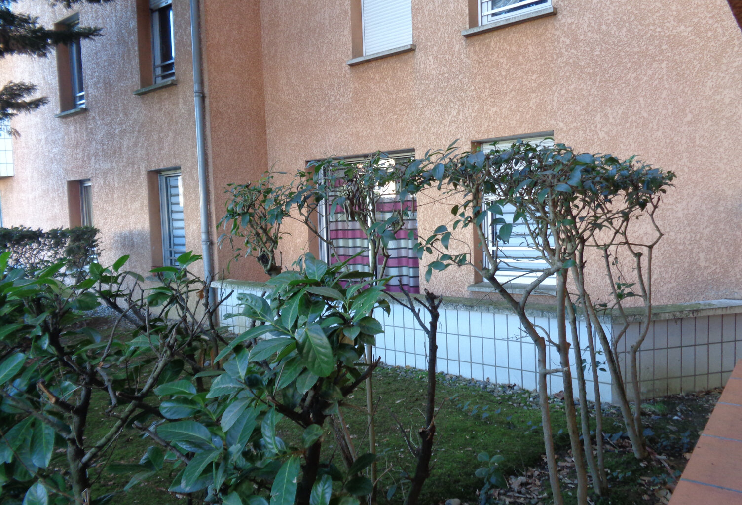 Toulouse Pasteur Ambroise Paré Cépière. Appt T2  54m2 RDC — photo 1