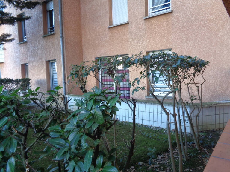 Toulouse Pasteur Ambroise Paré Cépière. Appt T2  54m2 RDC — photo 1