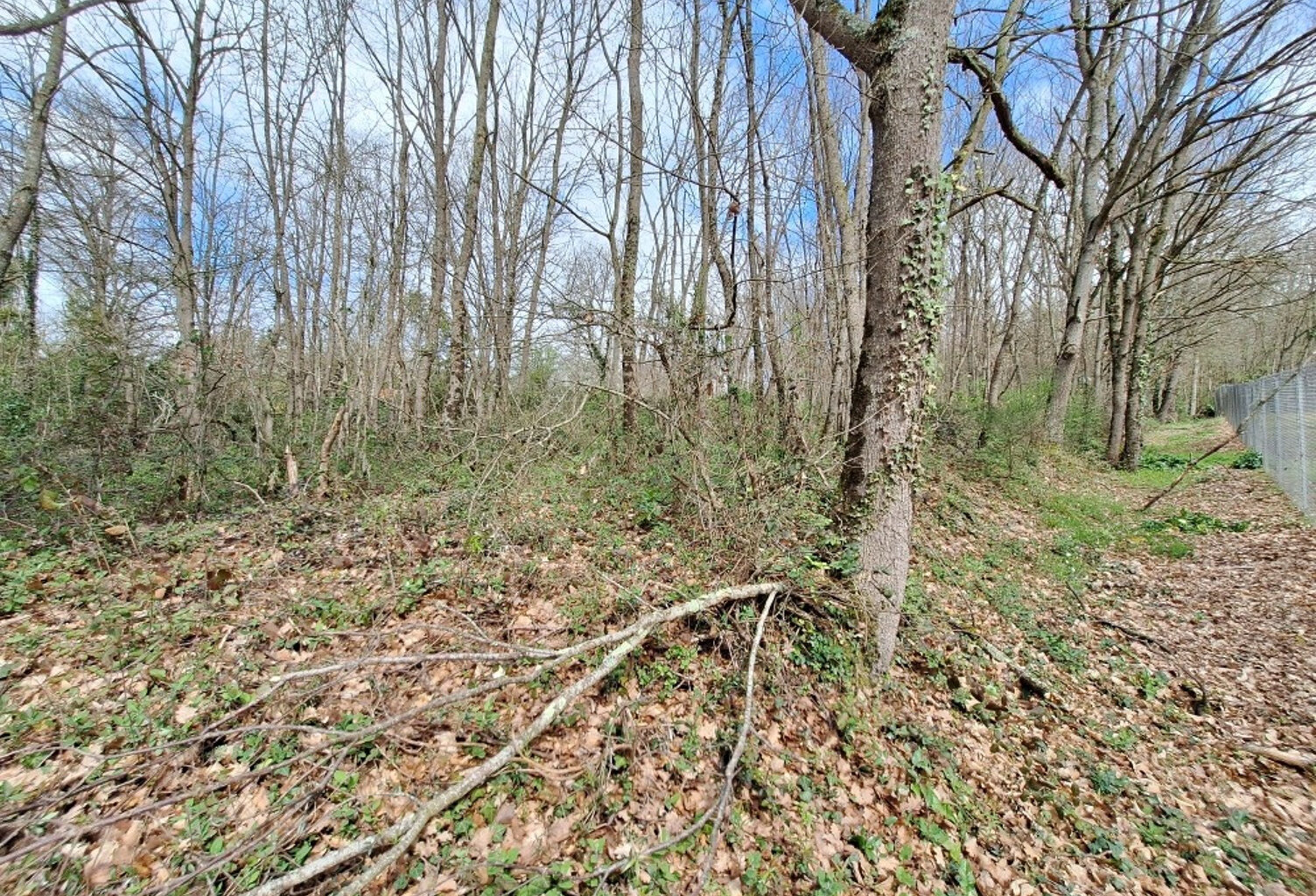 Terrain constructible 2400 m² — photo 1