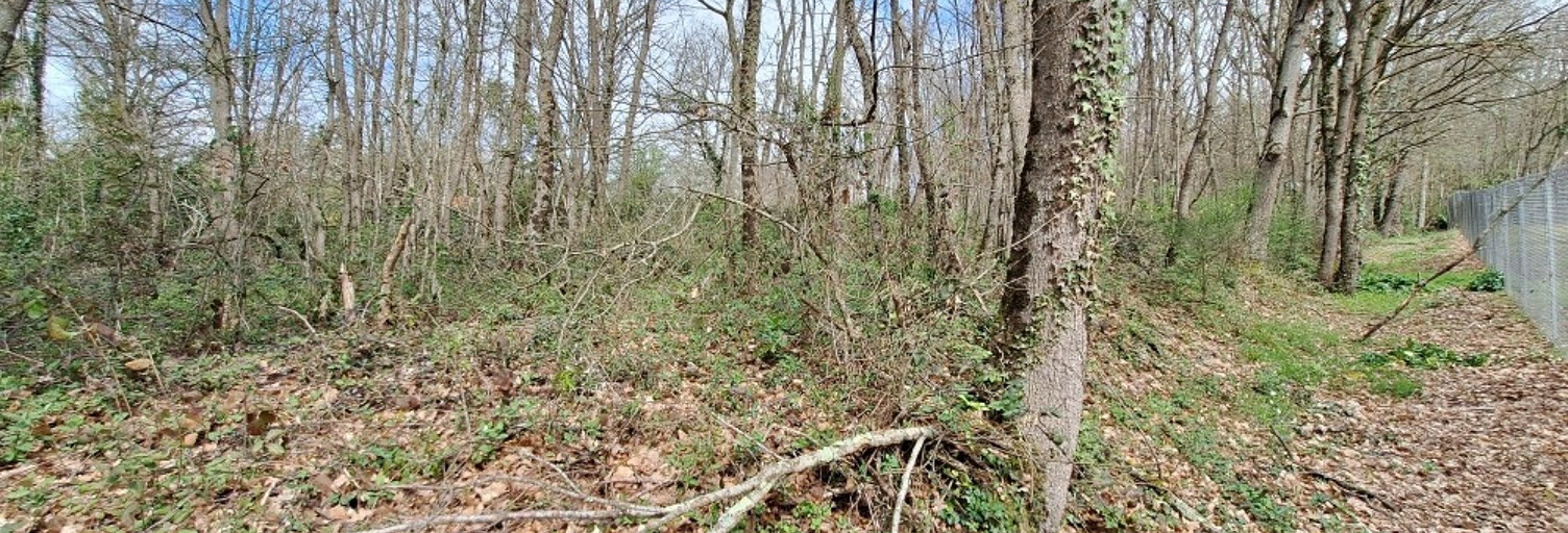 Terrain   m² à vendre à Sana (31220)