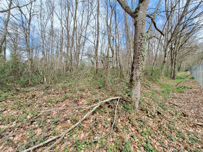 Terrain constructible 2400 m² — photo 1
