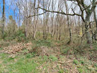 Terrain constructible 2400 m² — photo 2