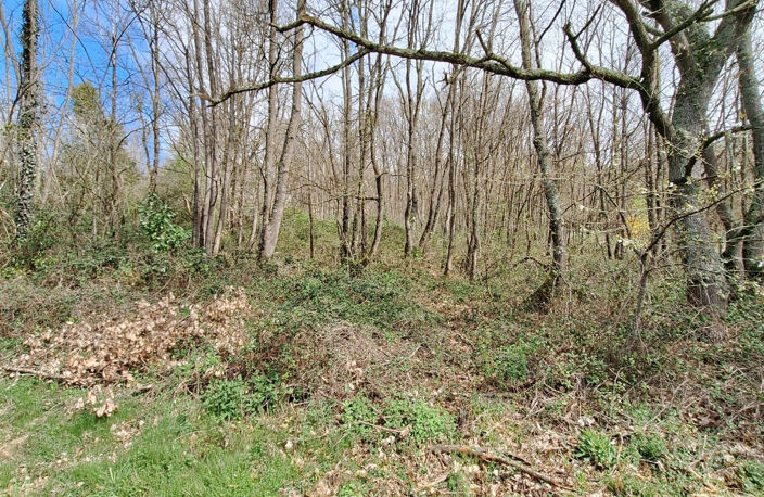Terrain constructible 2400 m² — photo 2