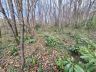 Terrain constructible 2400 m² — photo 3