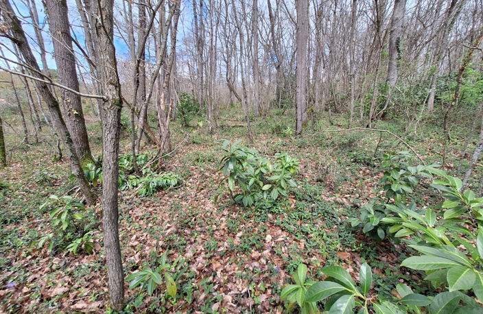 Terrain constructible 2400 m² — photo 3