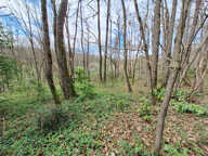 Terrain constructible 2400 m² — photo 4