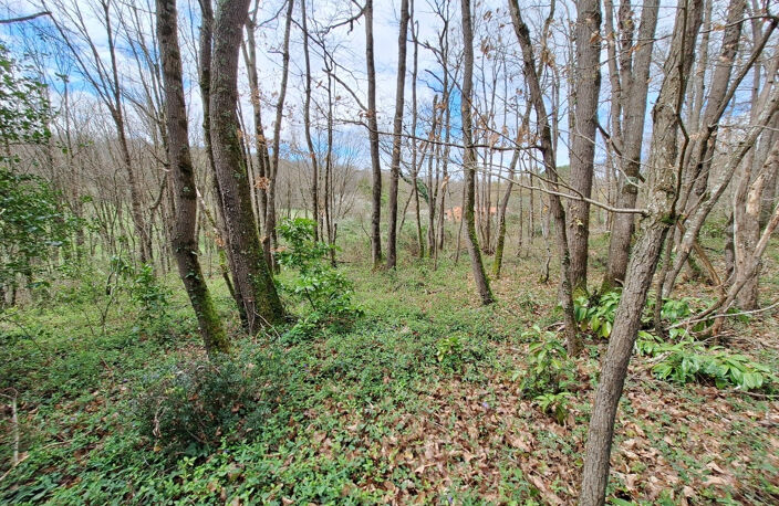 Terrain constructible 2400 m² — photo 4