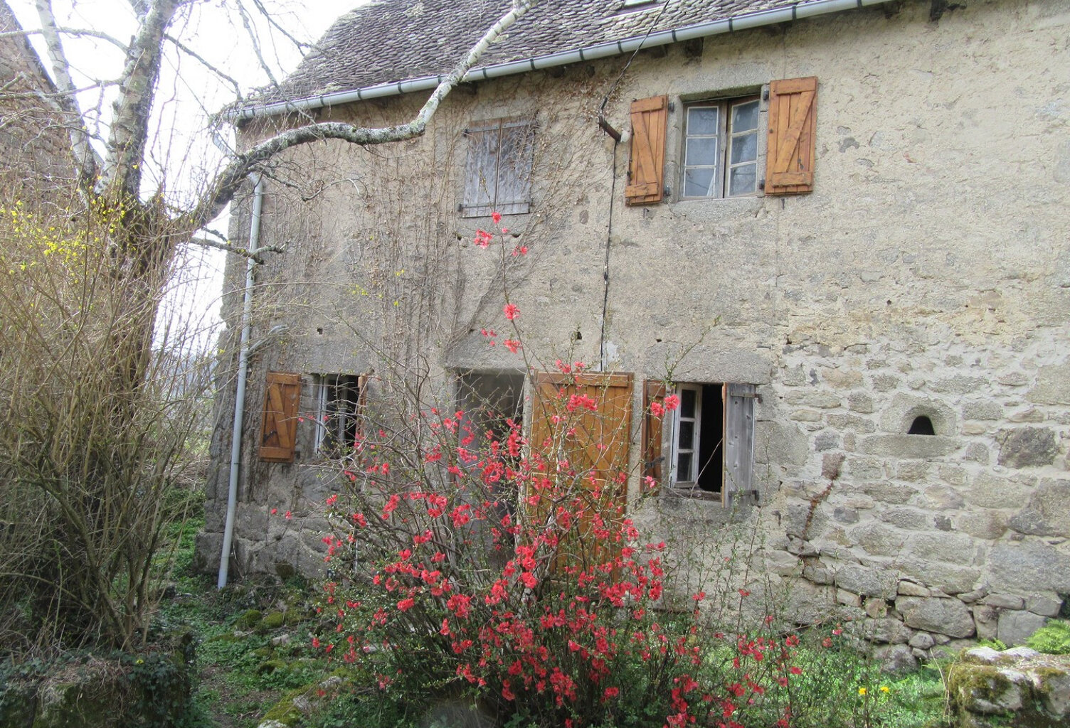 ESPEYRAC Maison typique en pierre granit avec jardinet et dépendance — photo 1