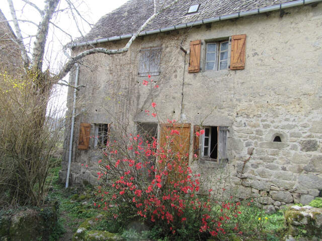 ESPEYRAC Maison typique en pierre granit avec jardinet et dépendance — photo du bien