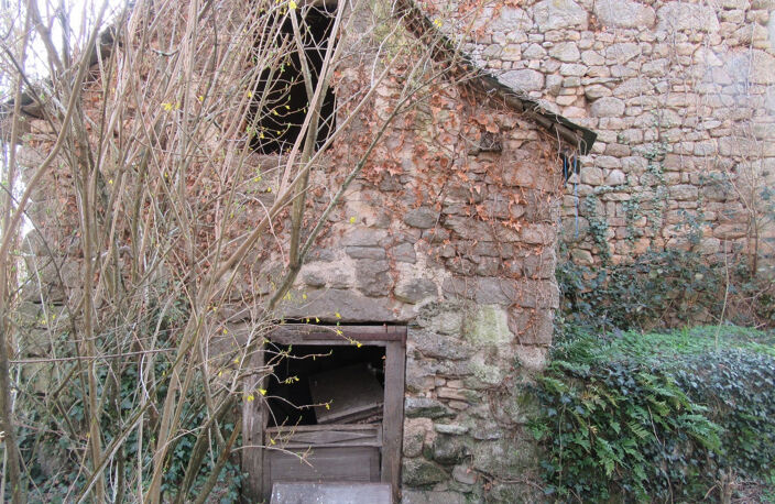 ESPEYRAC Maison typique en pierre granit avec jardinet et dépendance — photo 5