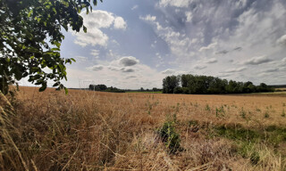 Photo N° 4