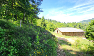 Photo N° 3