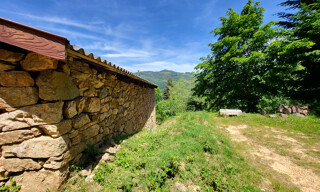 Photo N° 6