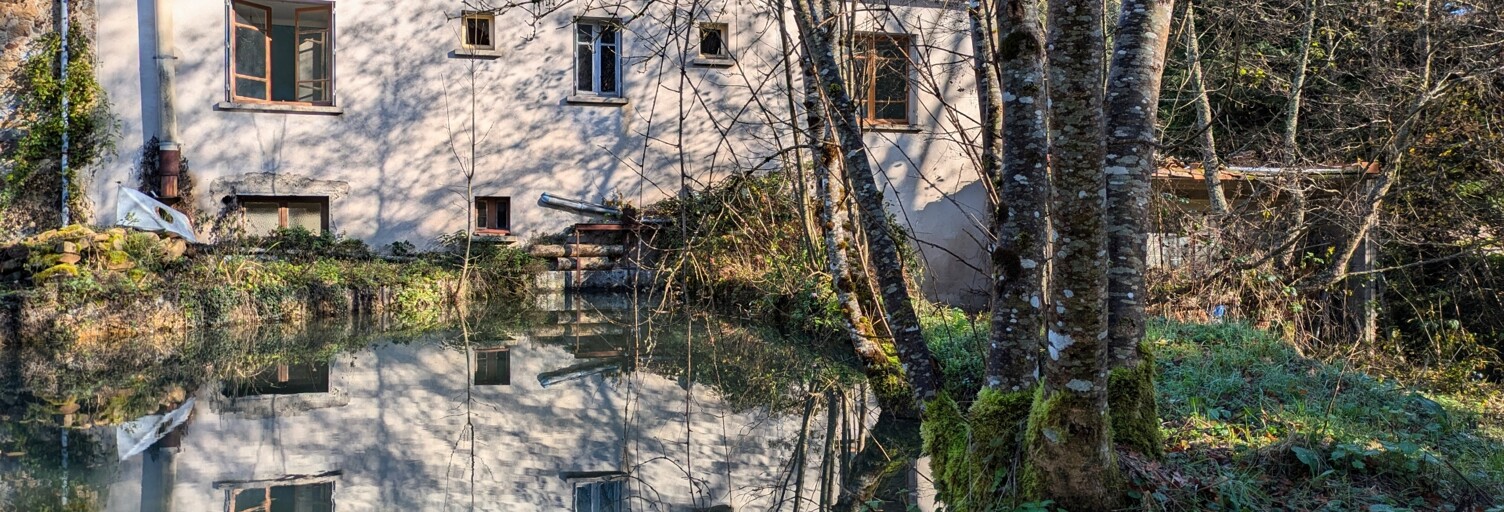 Maison 7 Pièces 118 m² à vendre à Nalzen (09300)