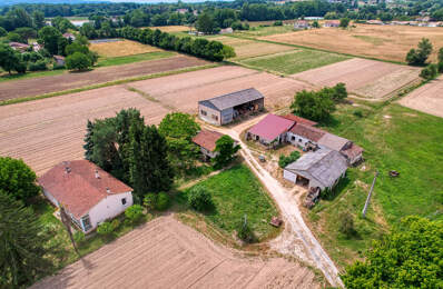 Propriété agricole sur la vallée du Lot entre Villeneuve et Fumel - — photo du bien