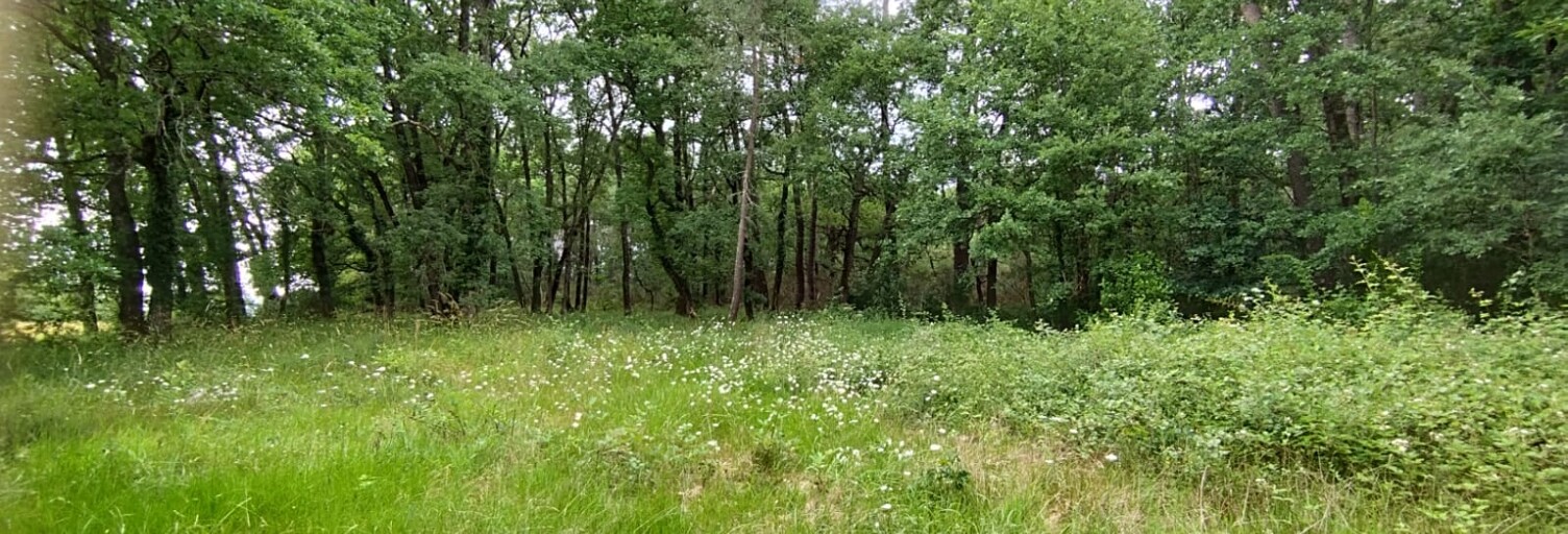 Terrain  2973 m² à vendre à Villefranche-de-Lonchat (24610)