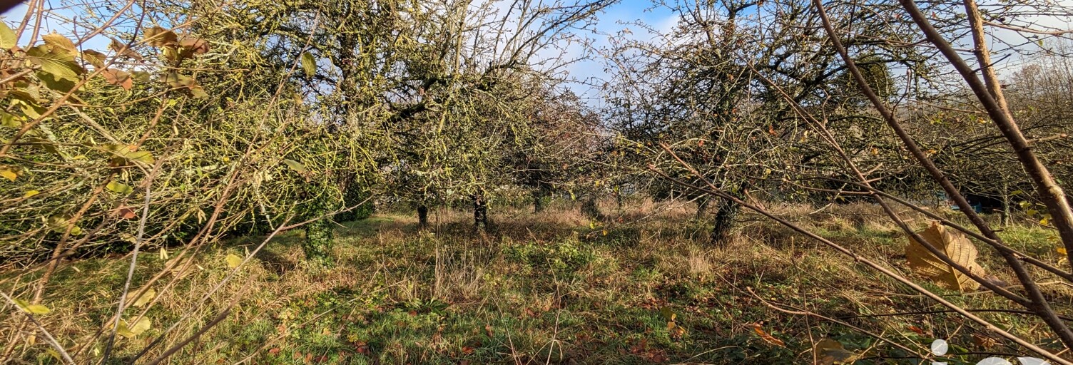 Terrain  1050 m² à vendre à Saint-Germain-sur-Morin (77860)