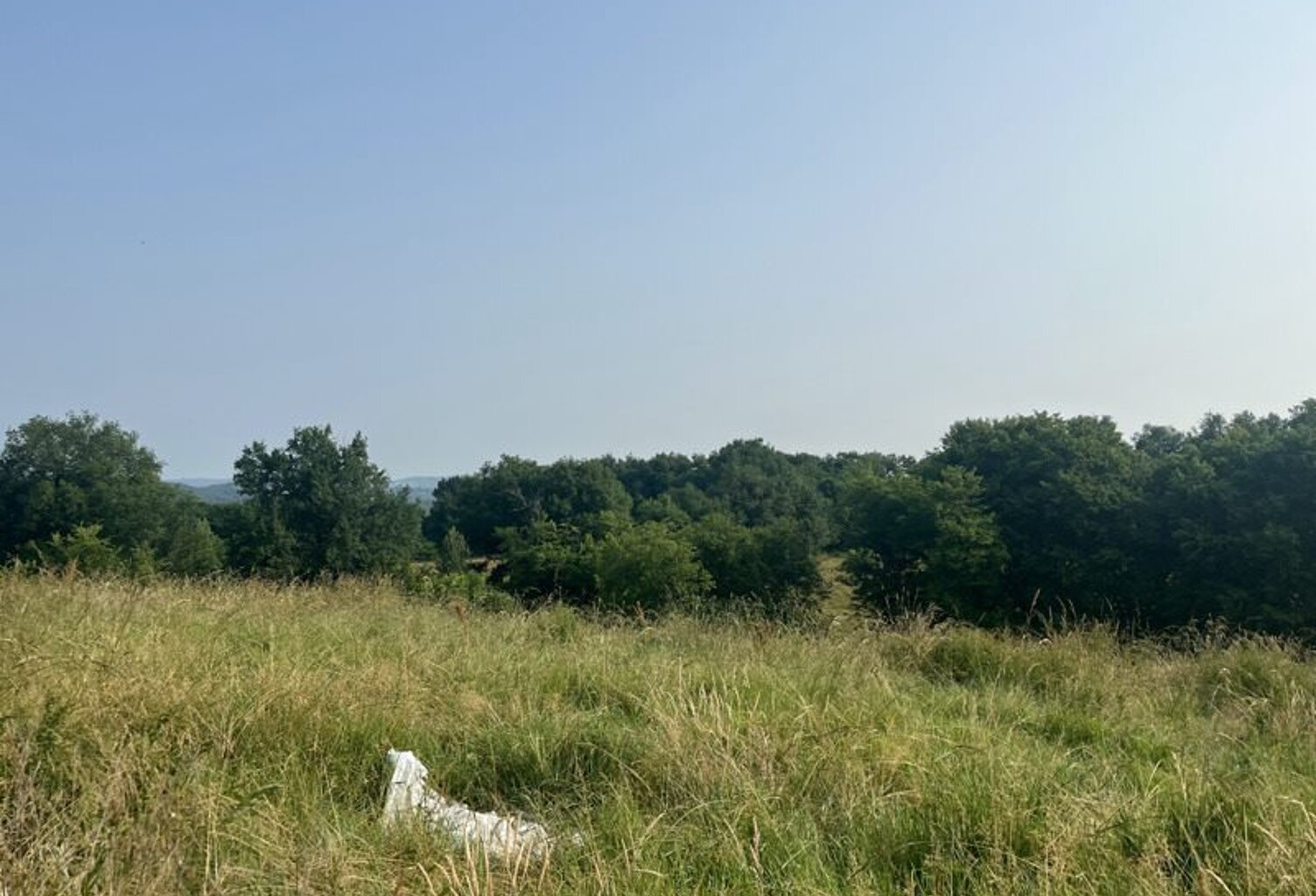 Terrain à bâtir de 0 pièces principales — photo 1