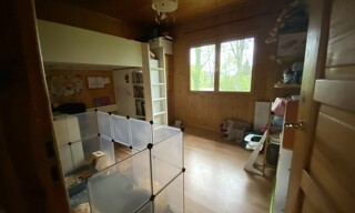Photo N° 3
