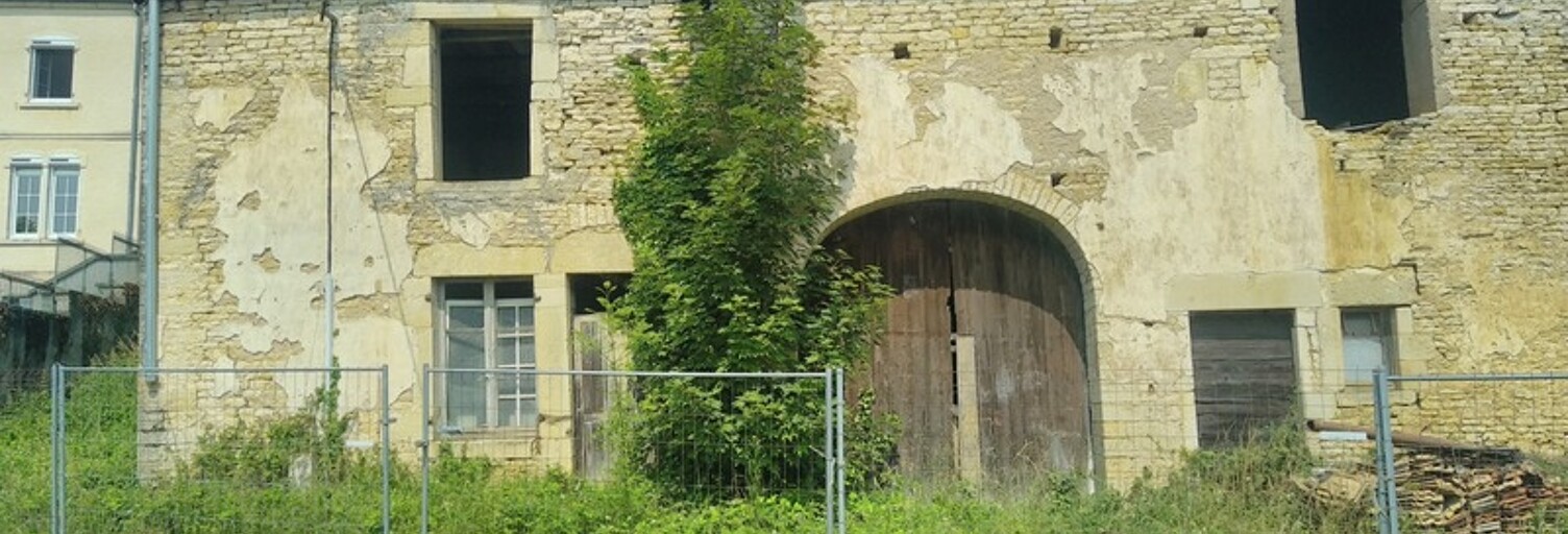 Maison 6 Pièces 243 m² à vendre à Renaucourt (70120)