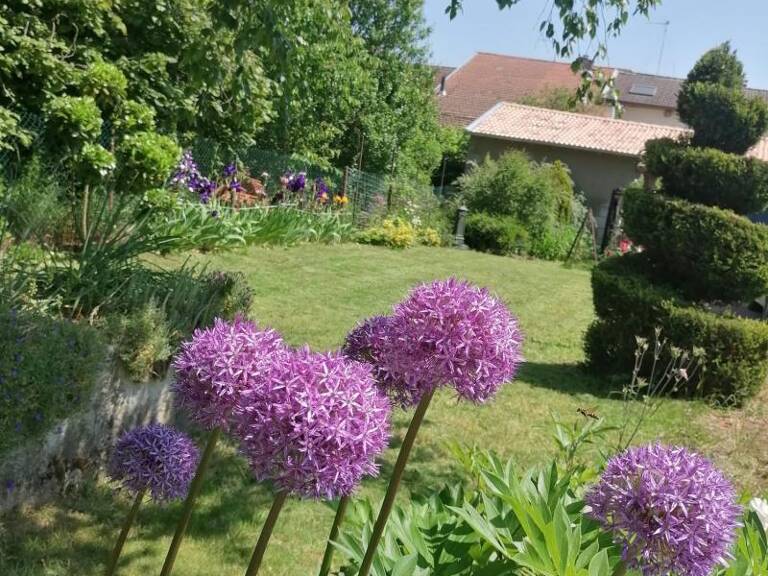 Propriété — photo 1