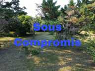 Terrain viabilisé hors lotissement — photo 3
