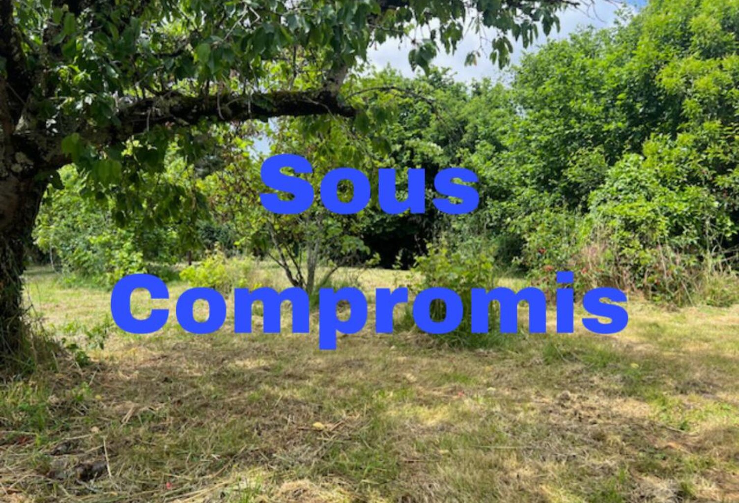 Terrain Arboré hors lotissement — photo 1