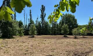 Terrain  6209 m² à vendre à Albias (82350)