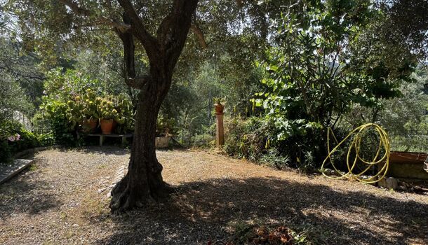 Villa / Maison 7 pièces  à vendre Carcès 83570