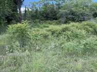 Terrain constructible — photo 4