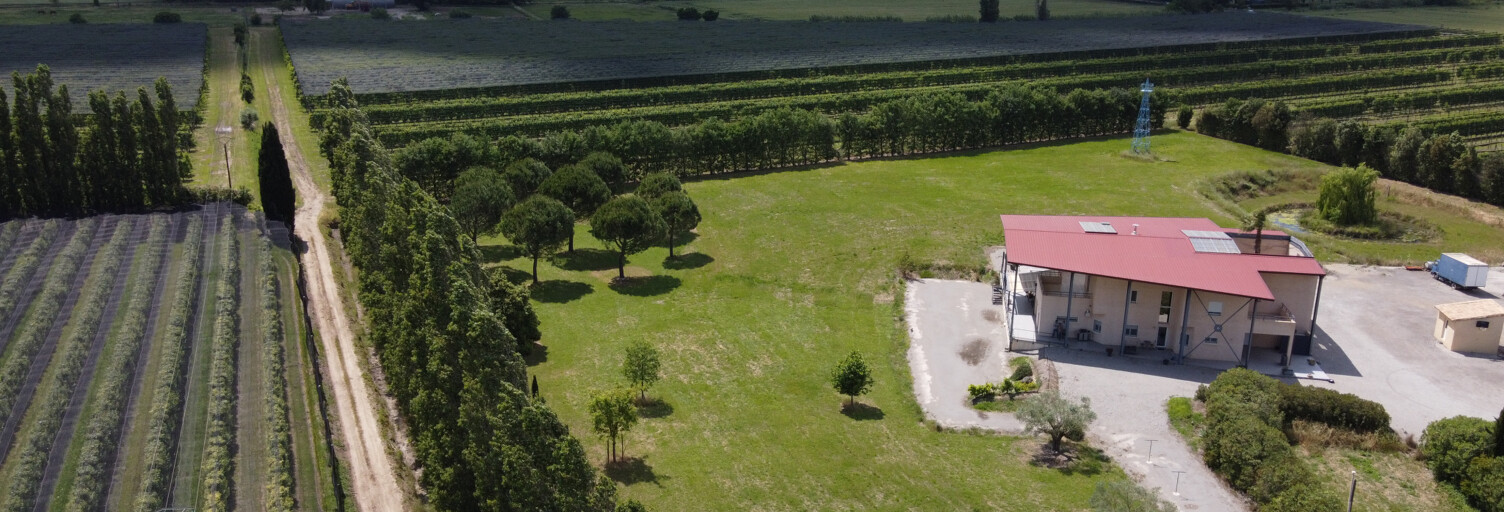 Maison 7 Pièces 322 m² à vendre à Mauguio (34130)