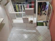 Bas du Fort : Joli local commercial de 55 m2 — photo 3